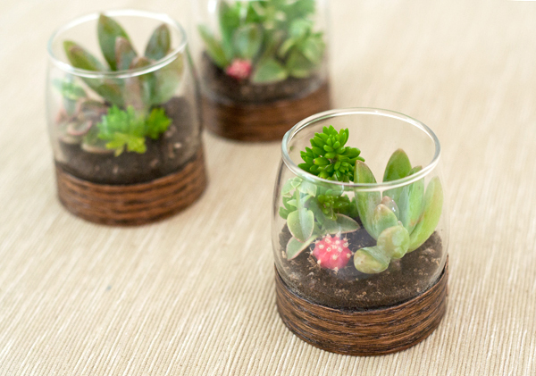 DIY: Wood Base Terrariums - Project Wedding