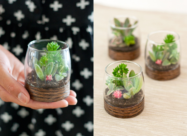 DIY Star Wars Terrarium Succulent Garden